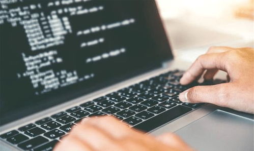 重點(diǎn)大學(xué)計(jì)算機(jī)專業(yè)學(xué)生，考研還是就業(yè)？